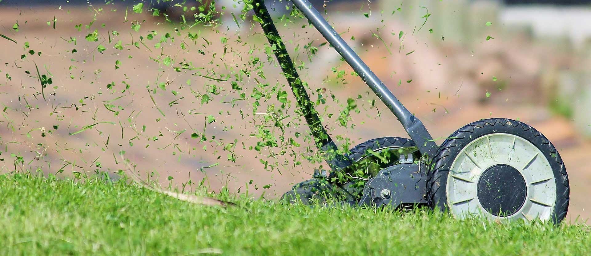 Maquina podadora de pasto: ten esto en cuenta a la hora de comprar una