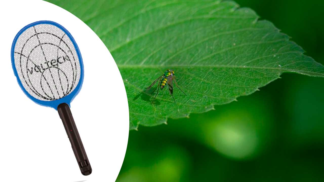 Guía para reparar y brindar mantenimiento a una raqueta exterminadora de insectos