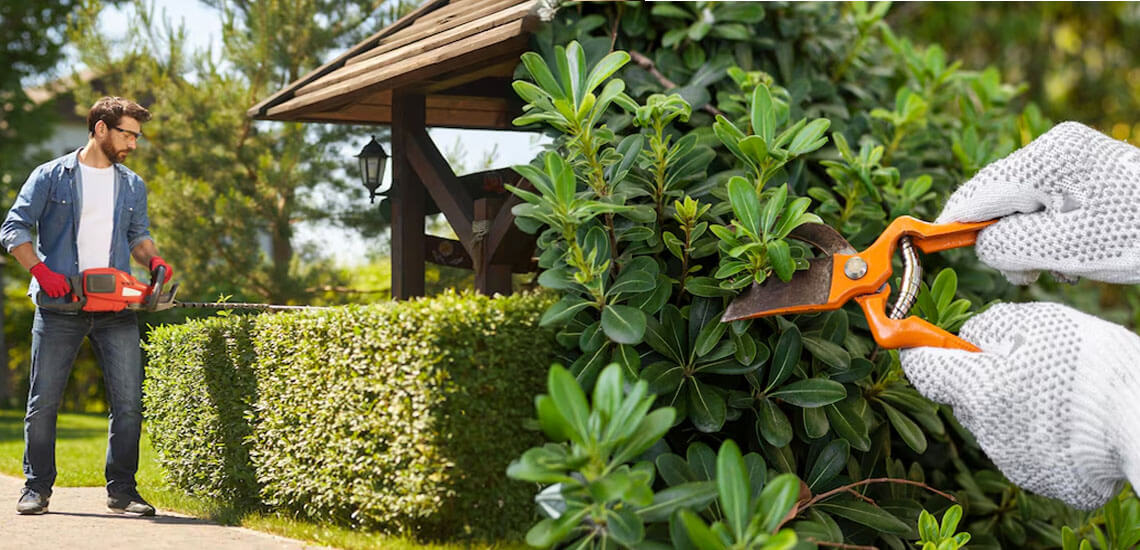 ¿Manual o eléctrico? Elige las mejores herramientas para tu jardín